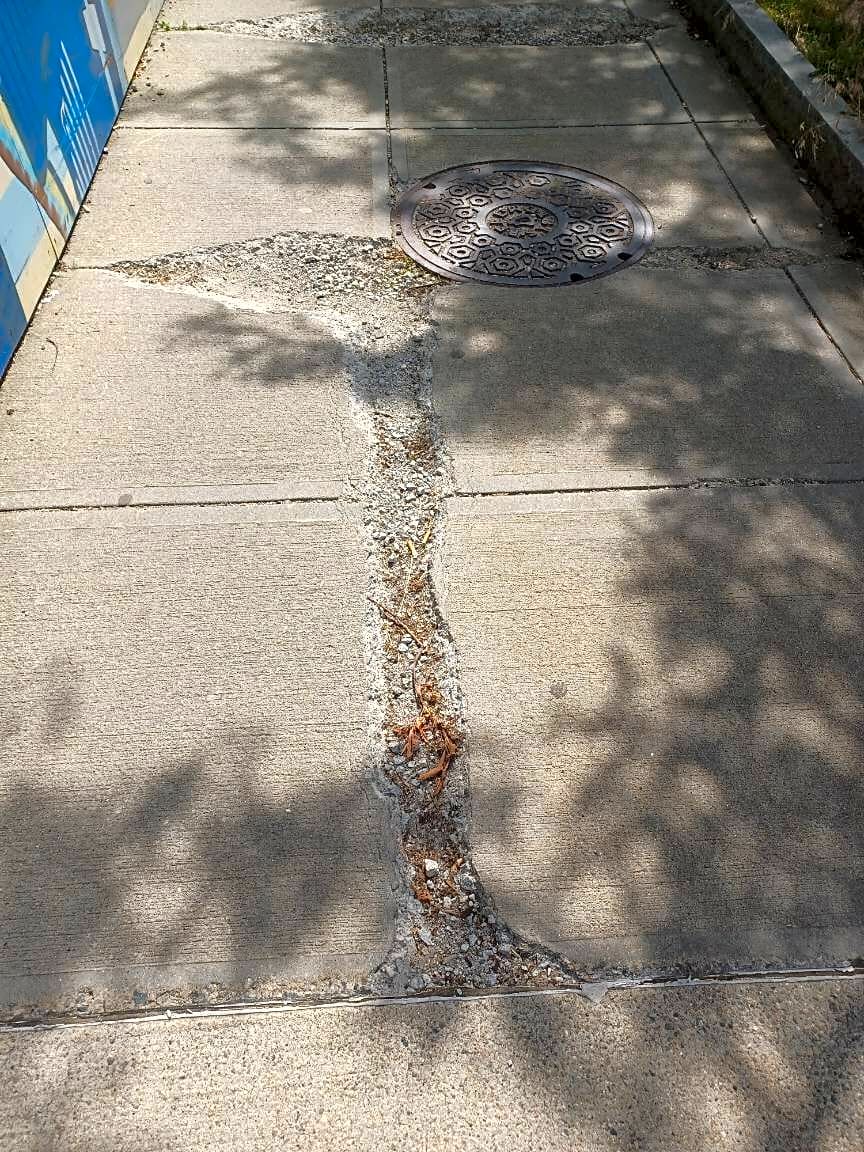Image submitted with report