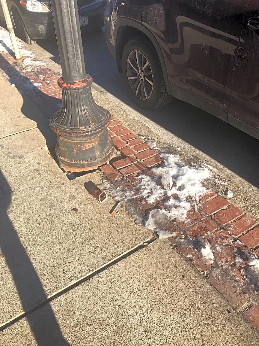 Image submitted with report