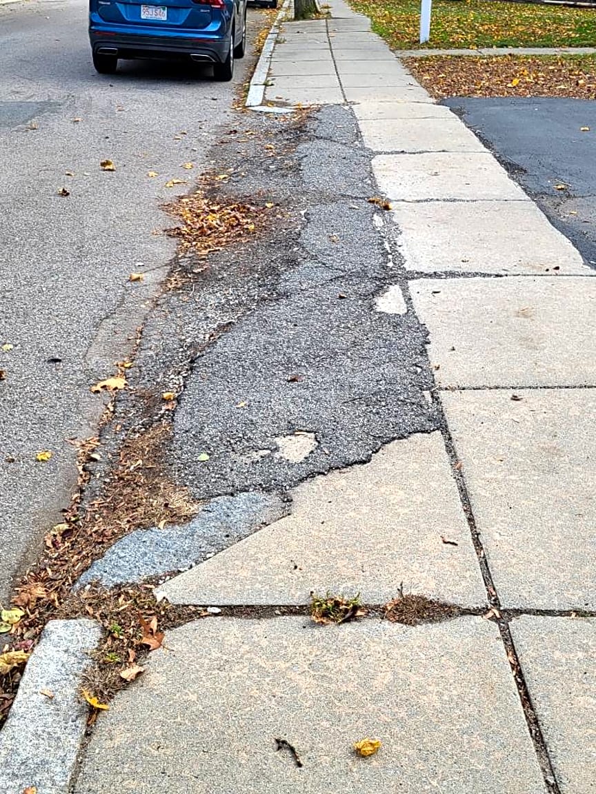 Image submitted with report