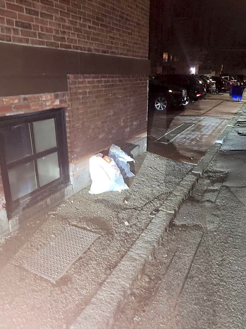 Image submitted with report