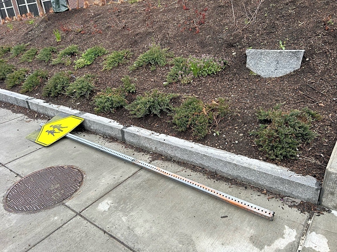 Image submitted with report