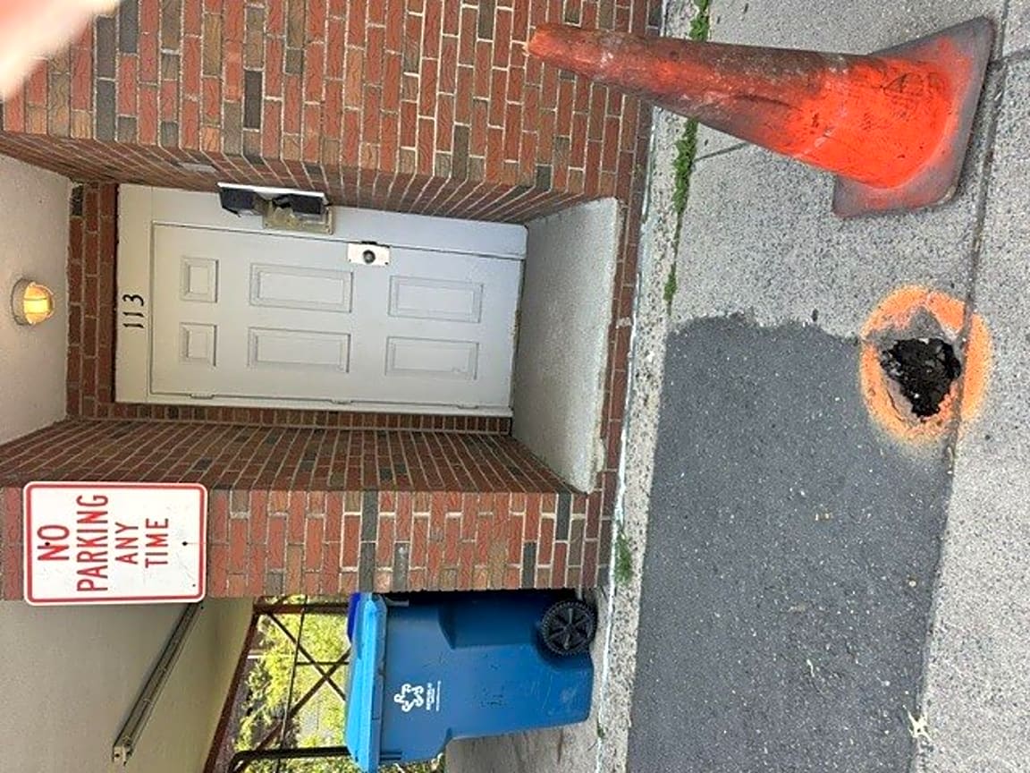 Image submitted with report