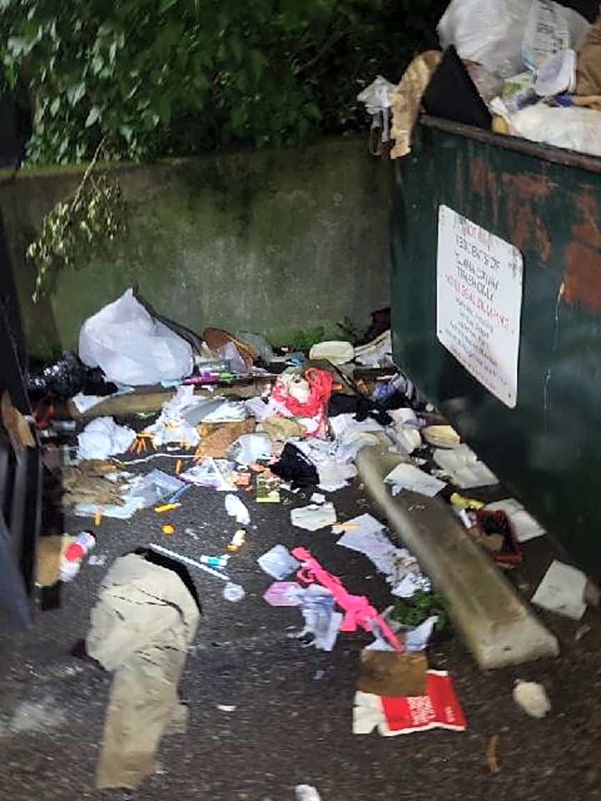 Image submitted with report