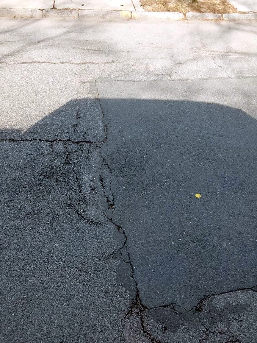 Image submitted with report