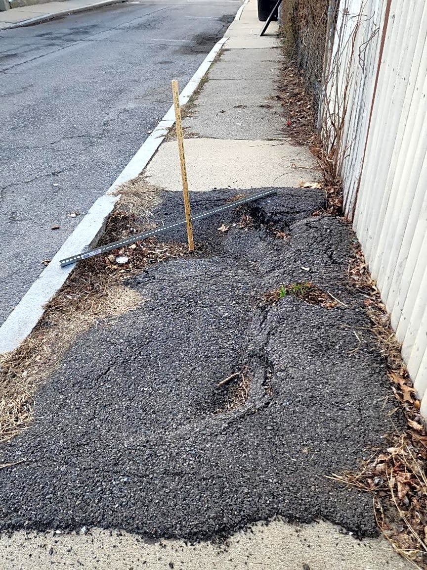 Image submitted with report