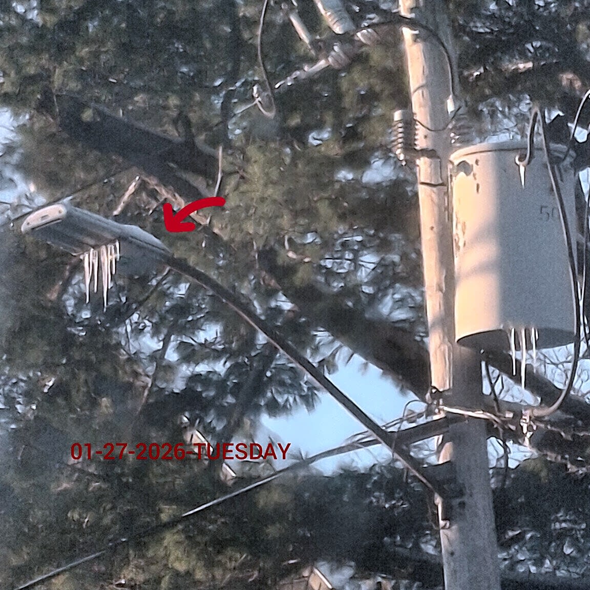 Image submitted with report