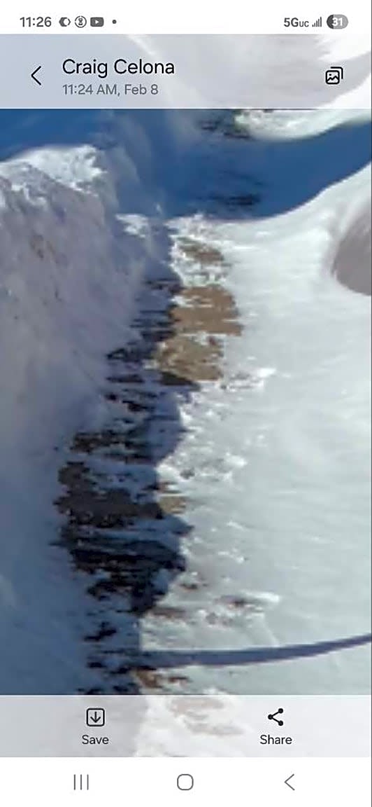 Image submitted with report