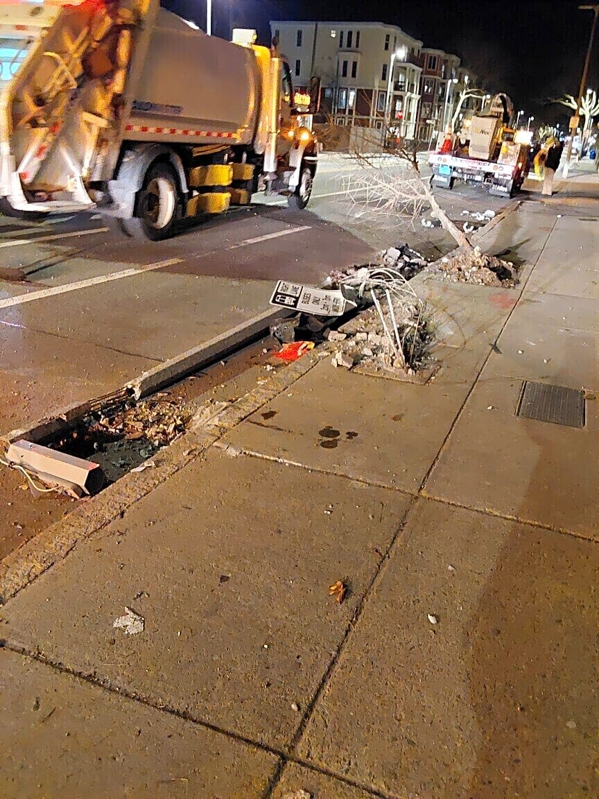 Image submitted with report