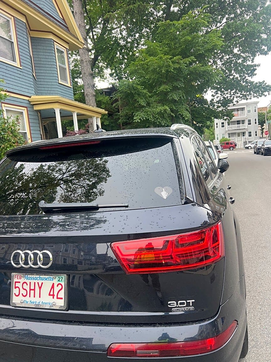 Image submitted with report
