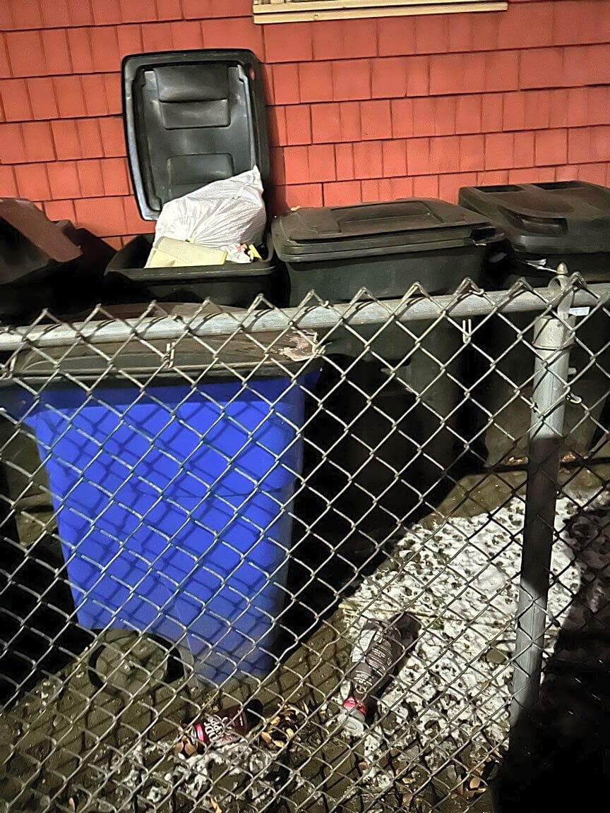 Image submitted with report