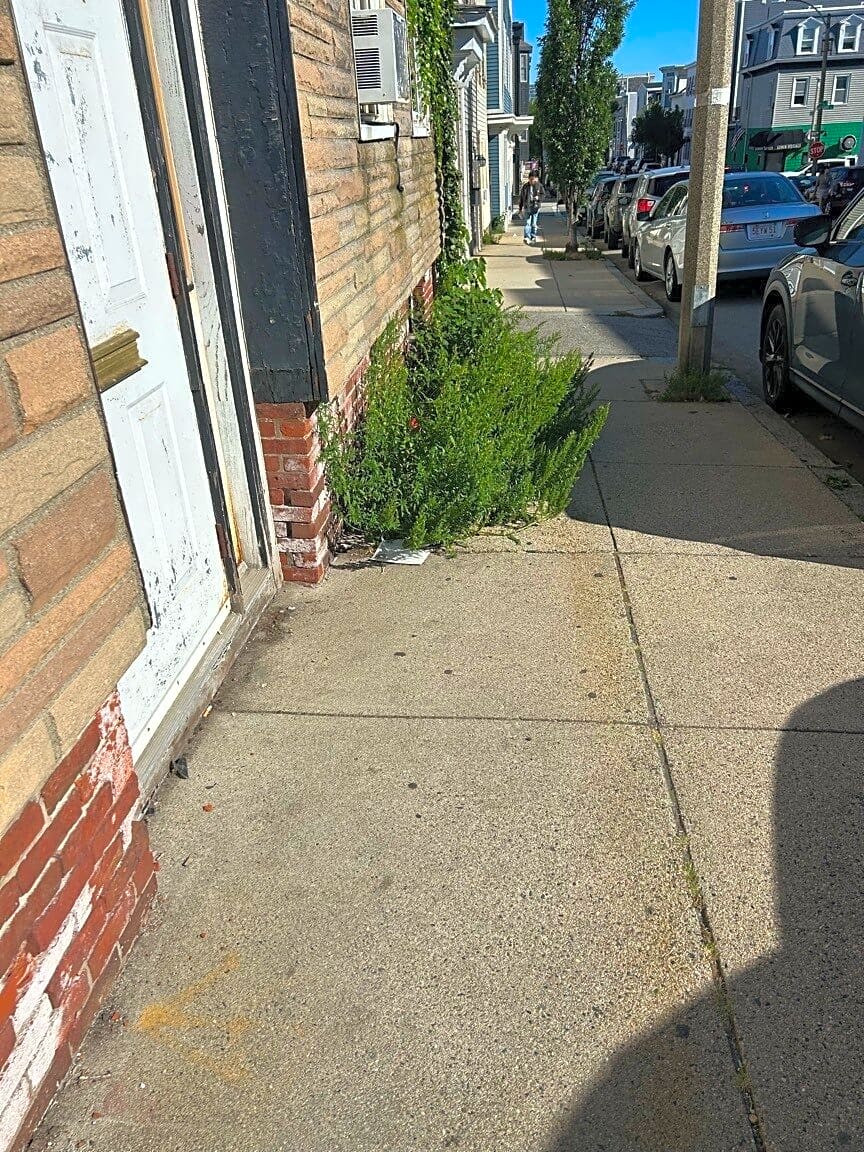 Image submitted with report
