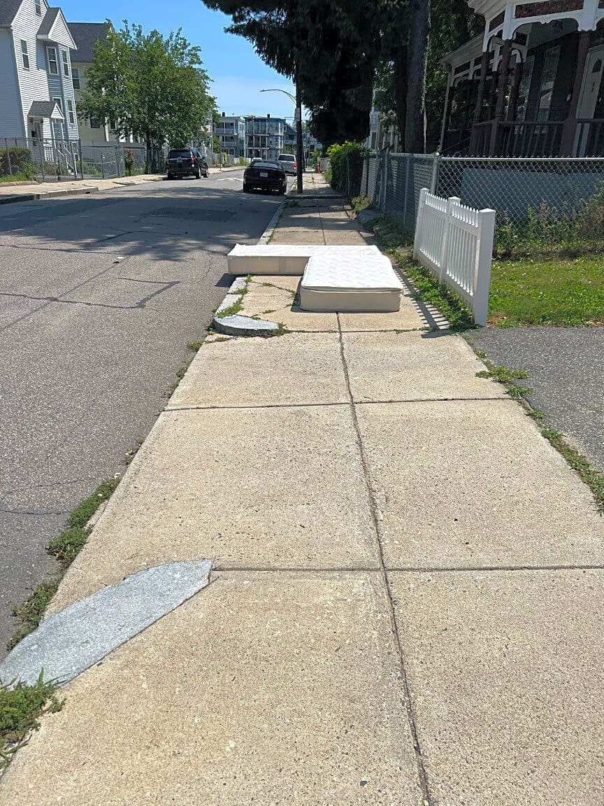 Image submitted with report
