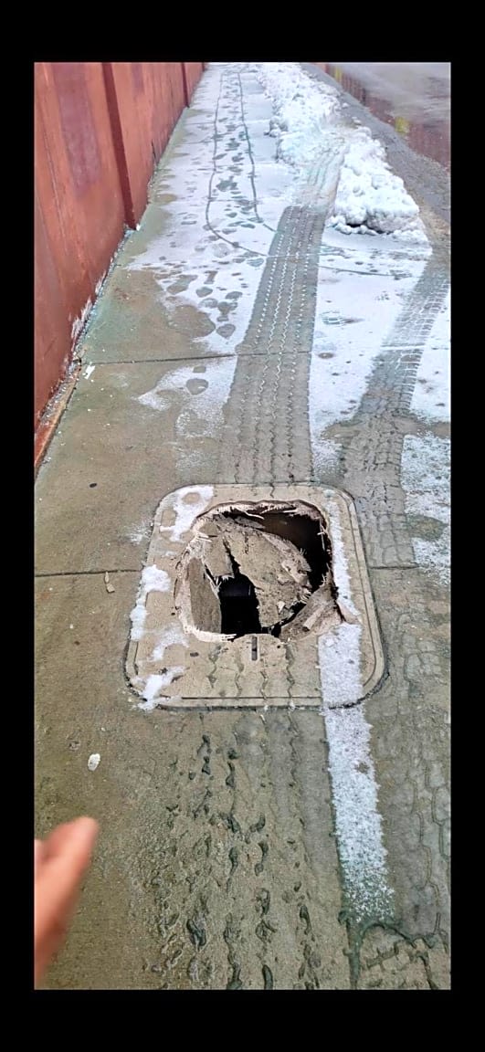 Image submitted with report