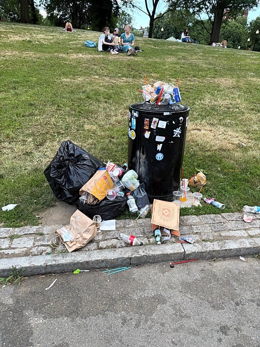 Image submitted with report