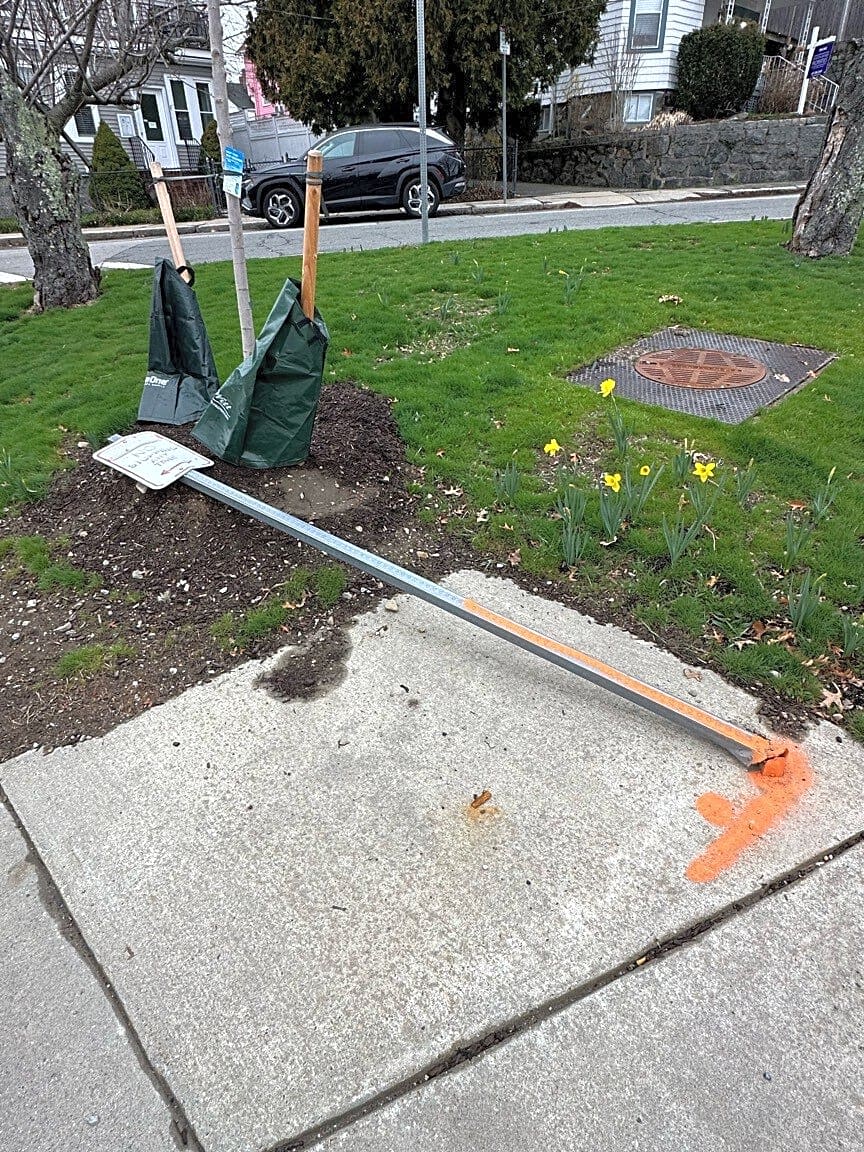 Image submitted with report