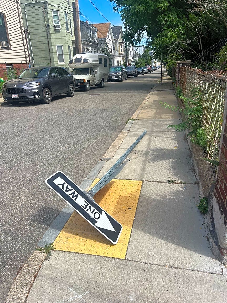 Image submitted with report