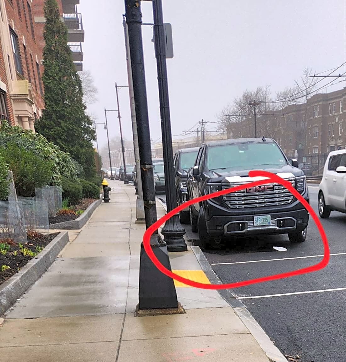 Image submitted with report