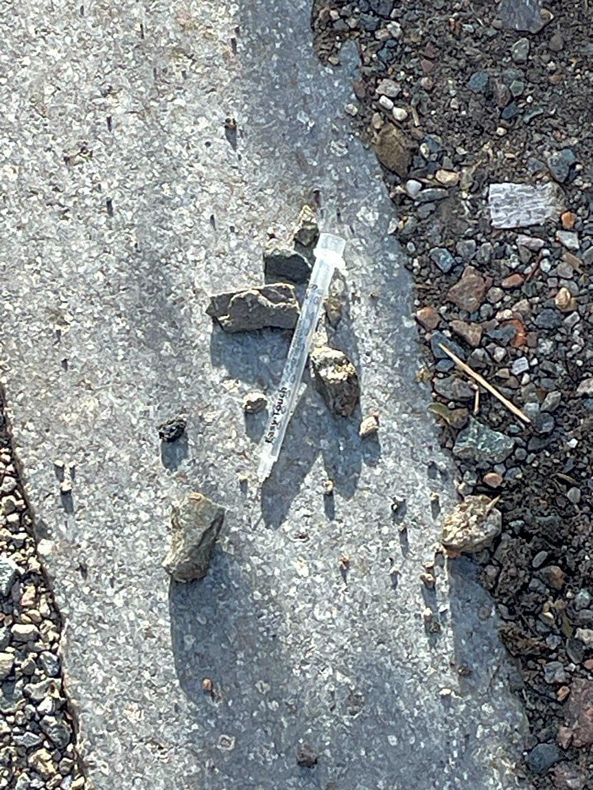 Image submitted with report