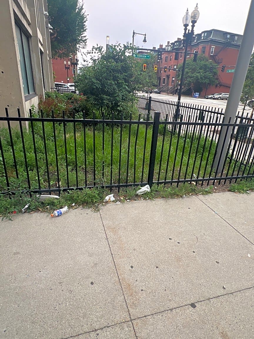 Image submitted with report