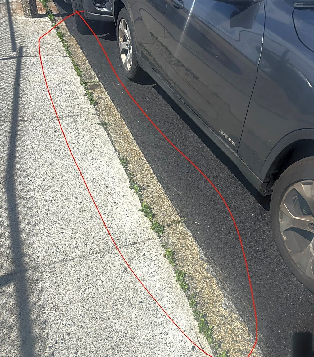 Image submitted with report