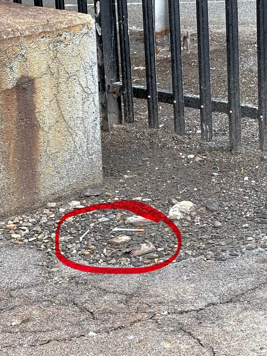 Image submitted with report