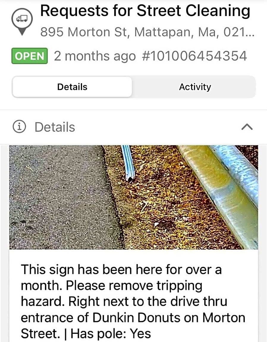 Image submitted with report