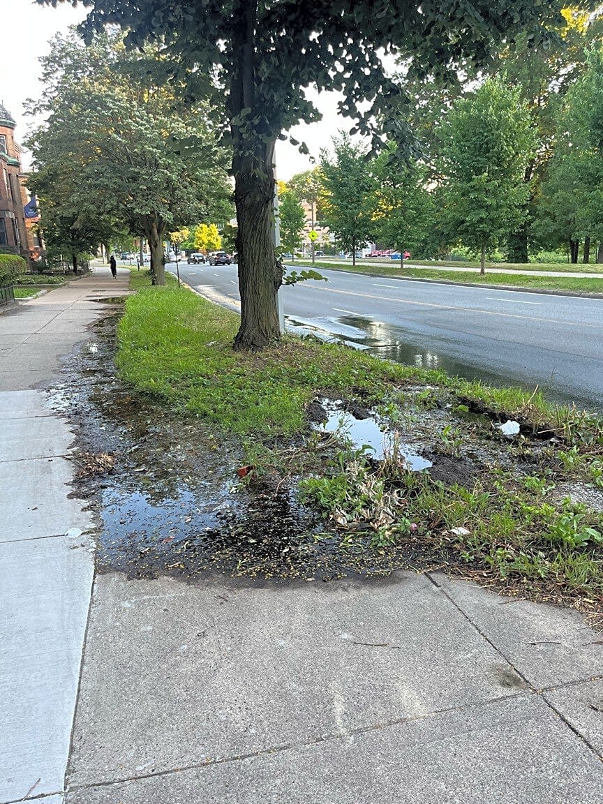 Image submitted with report