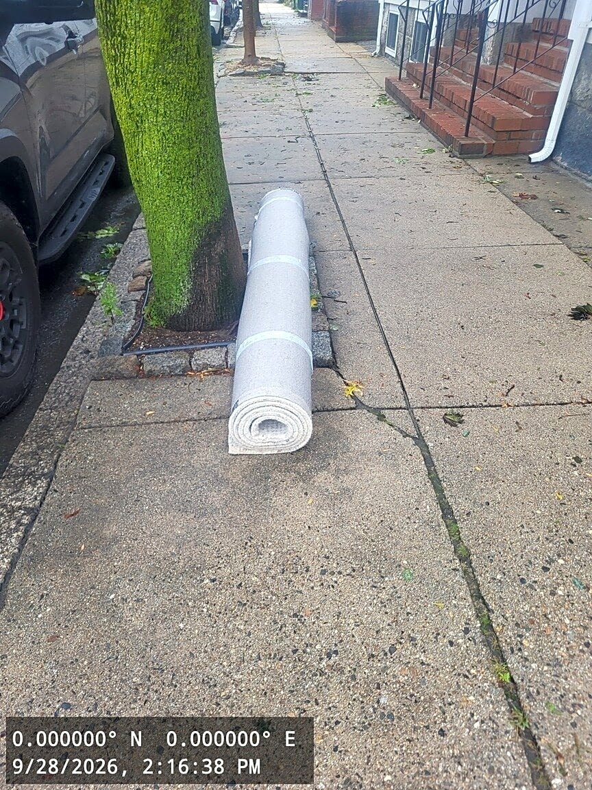 Image submitted with report