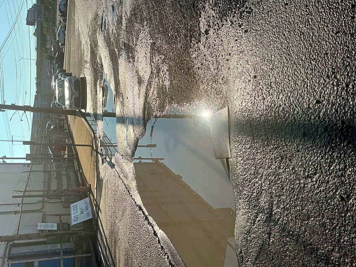 Image submitted with report
