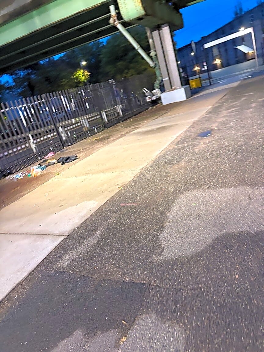 Image submitted with report