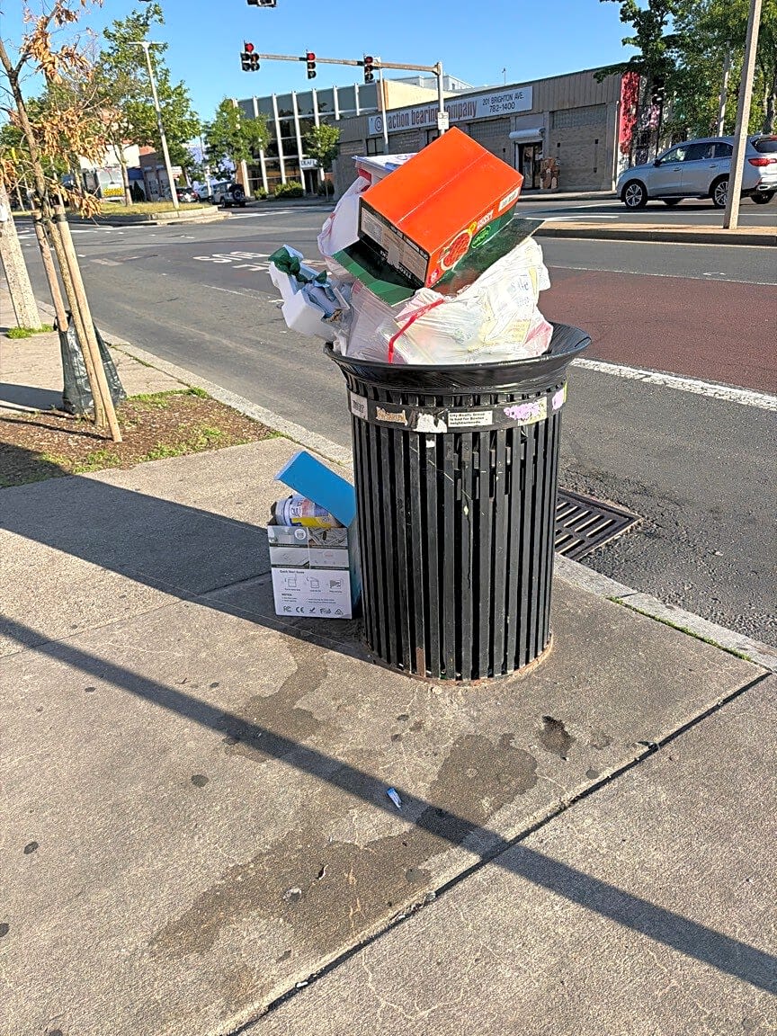 Image submitted with report