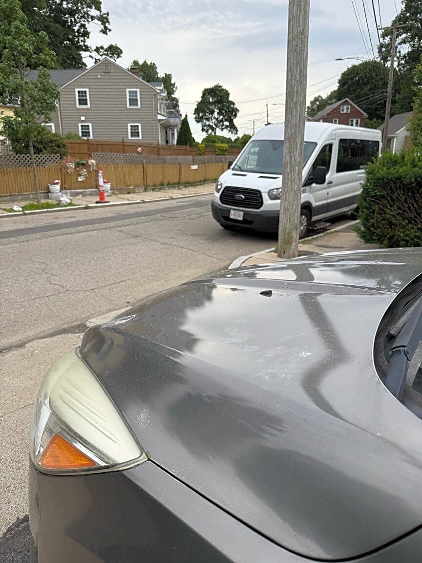 Image submitted with report