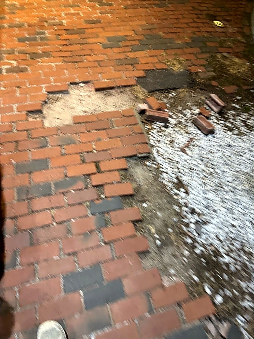 Image submitted with report