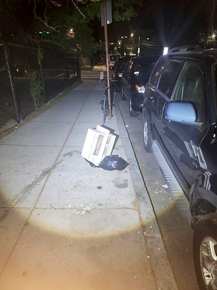 Image submitted with report