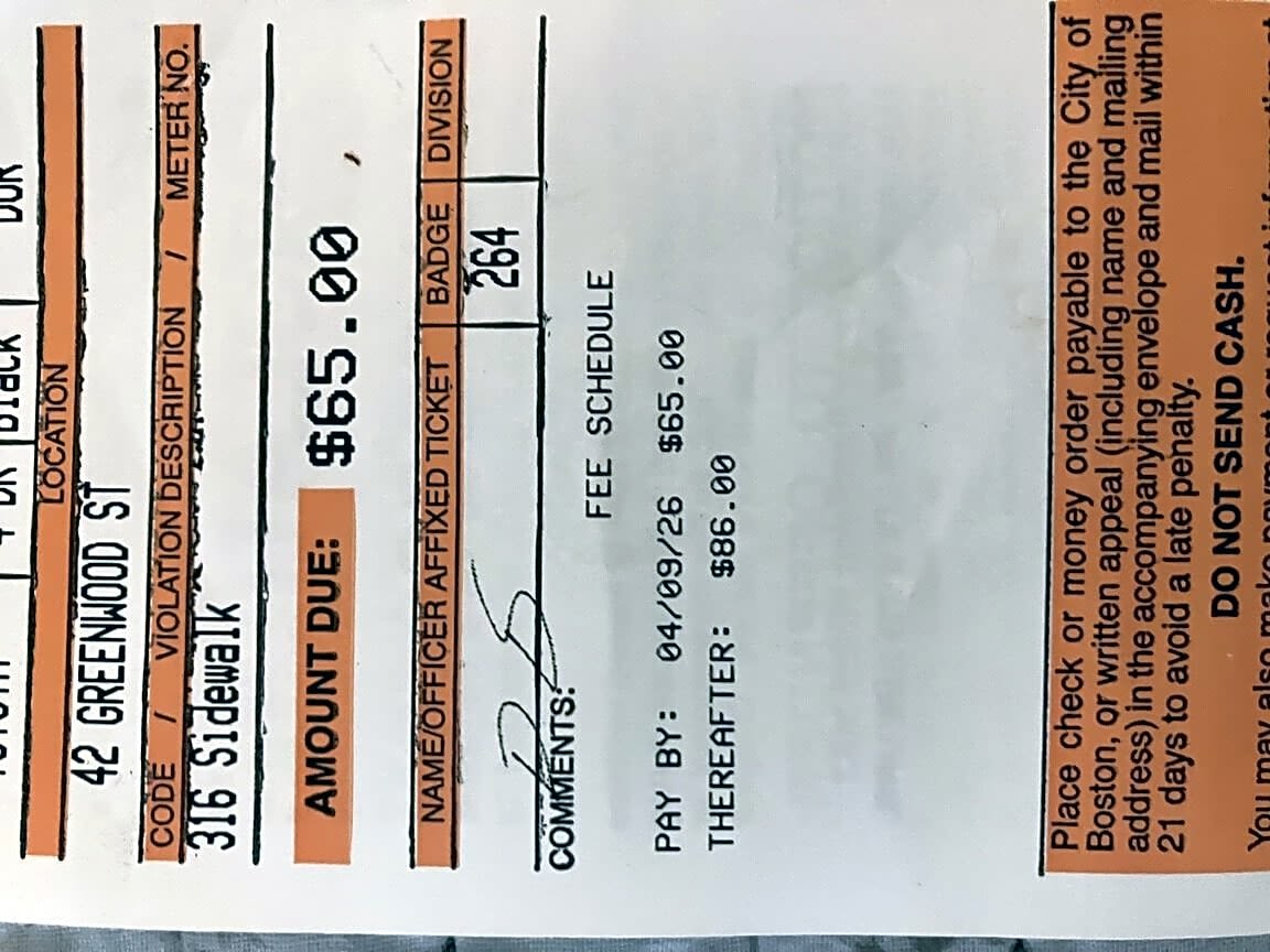 Image submitted with report