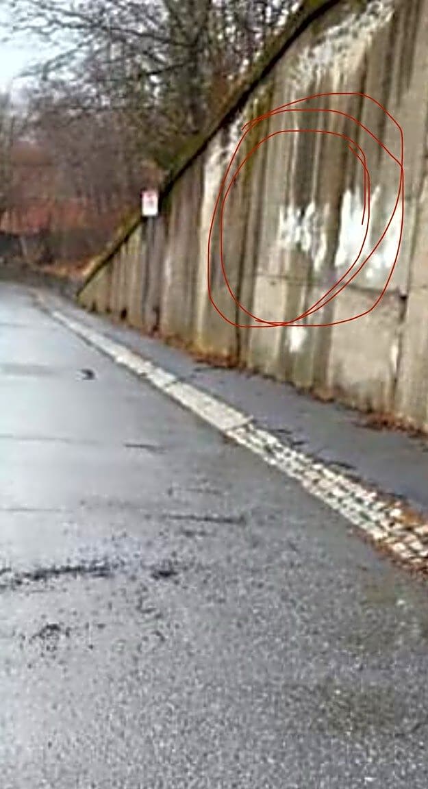 Image submitted with report