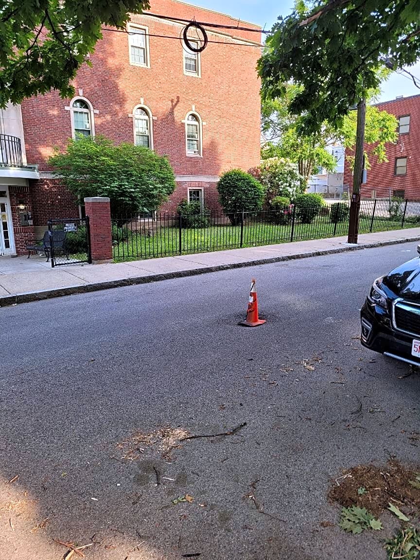 Image submitted with report