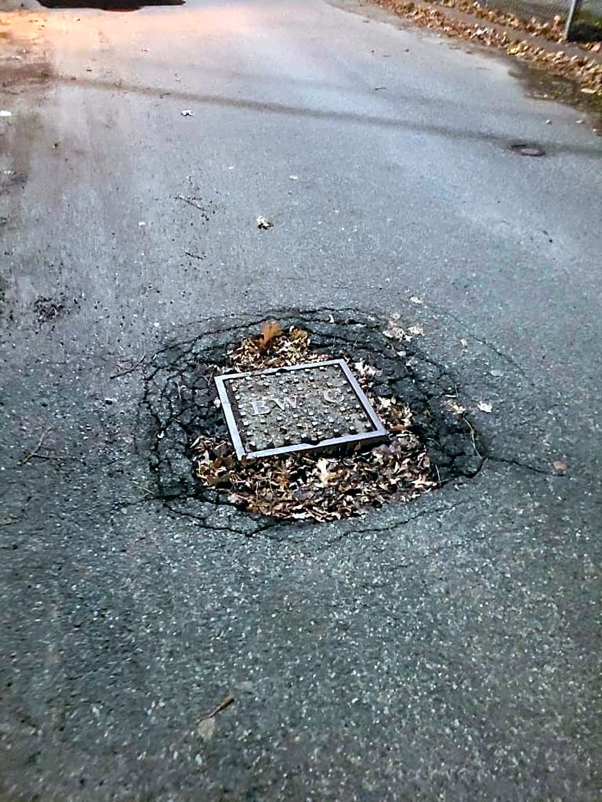 Image submitted with report