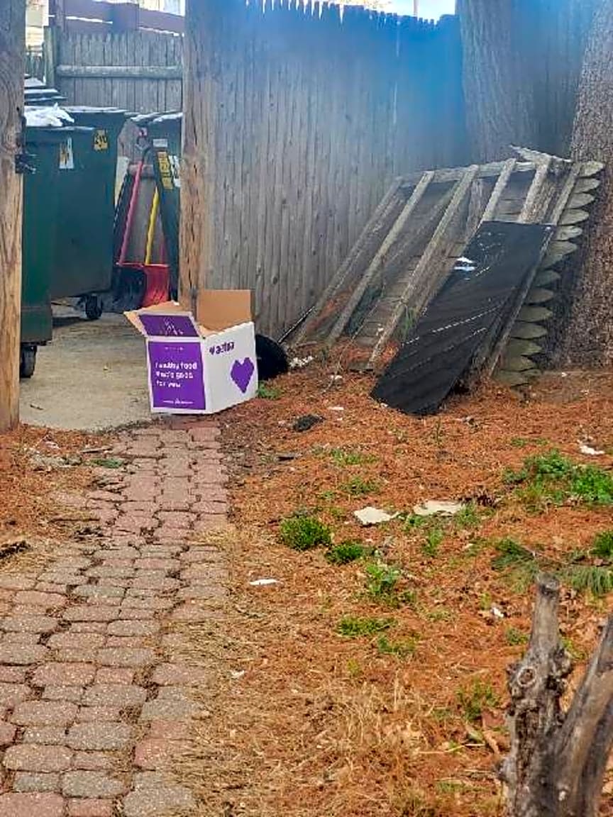 Image submitted with report