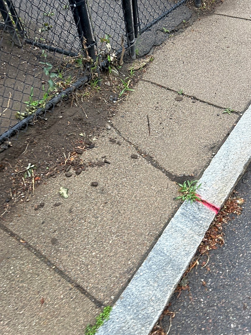 Image submitted with report