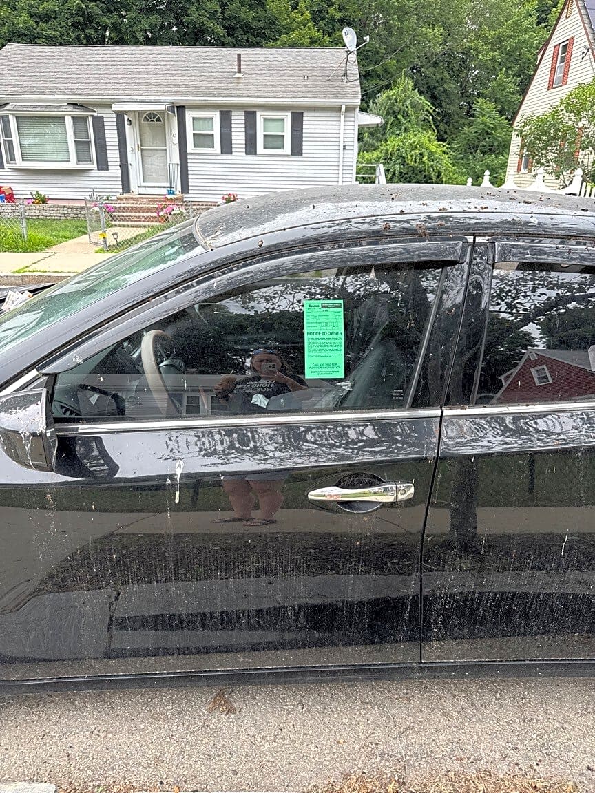 Image submitted with report