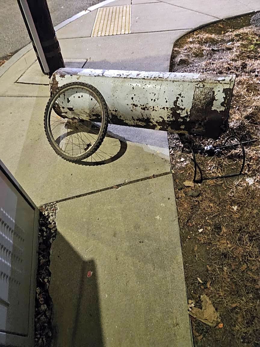 Image submitted with report