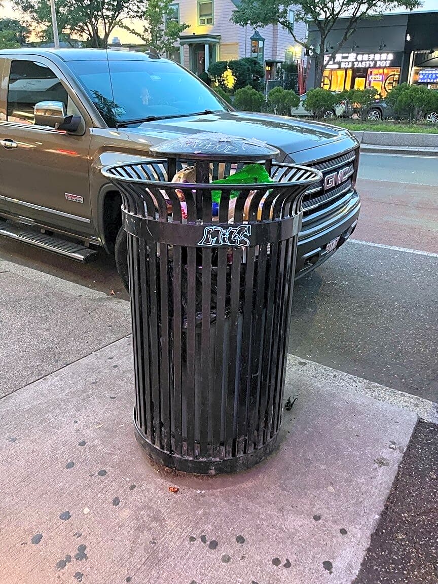 Image submitted with report