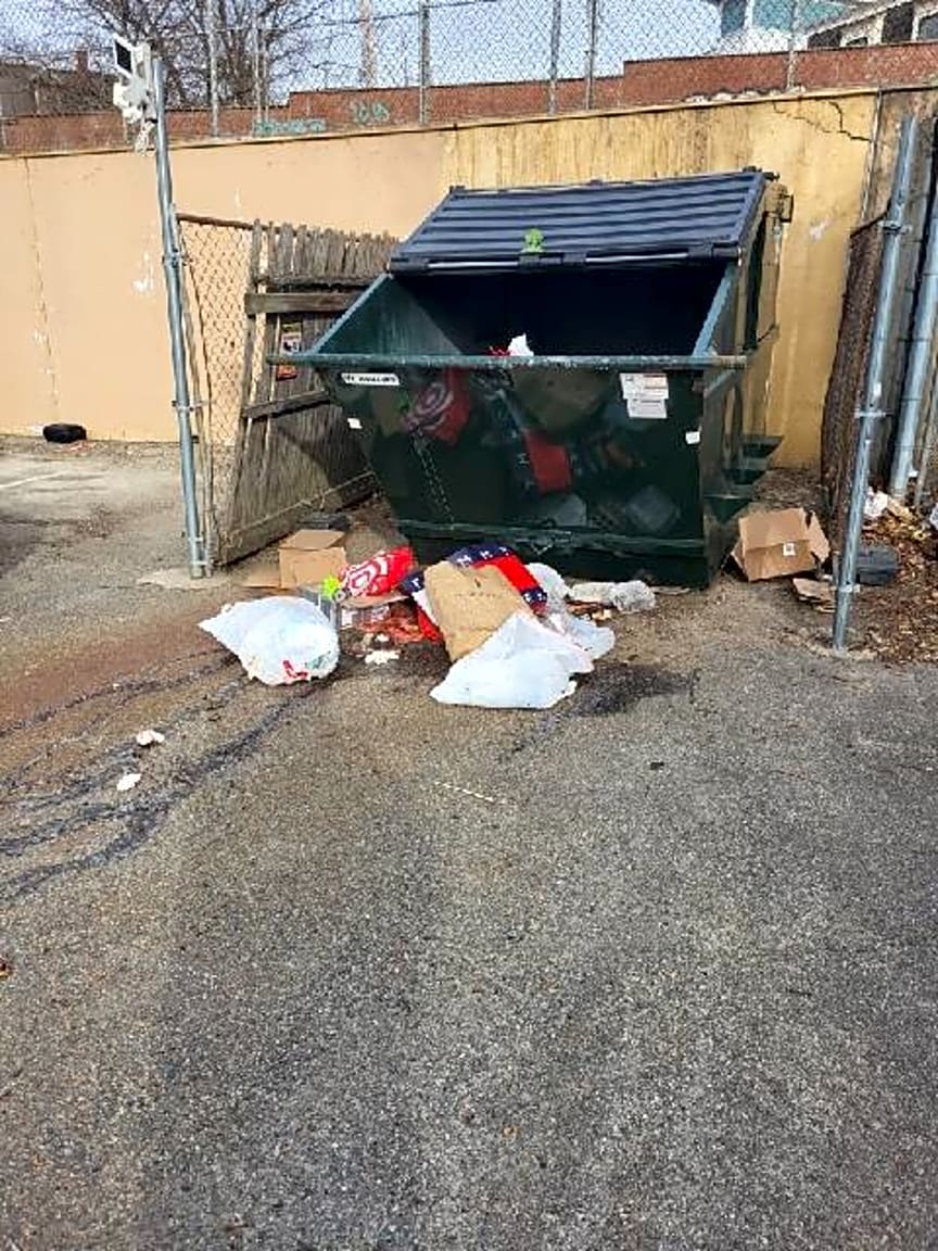 Image submitted with report