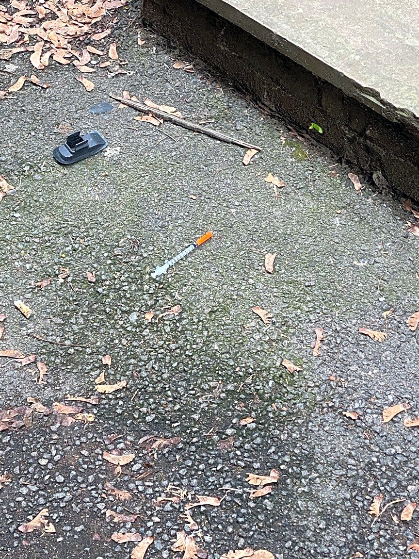 Image submitted with report