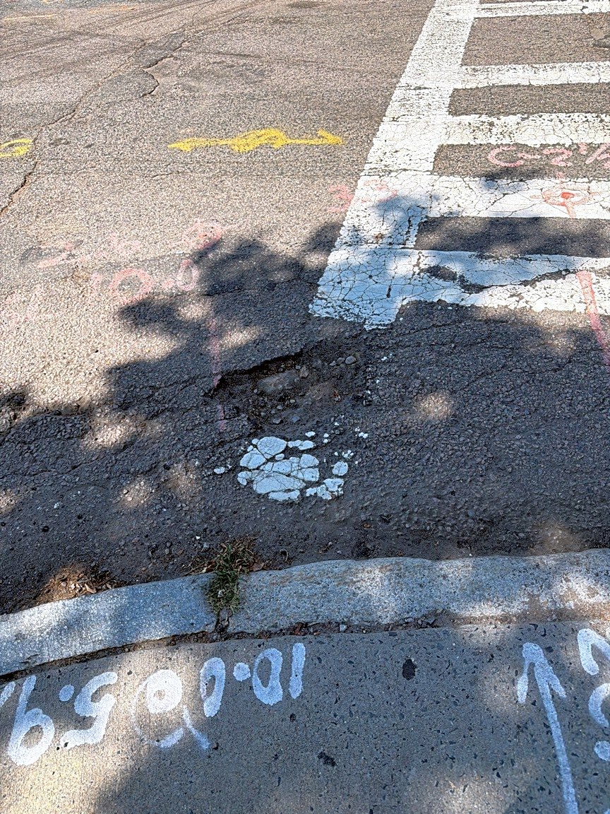 Image submitted with report