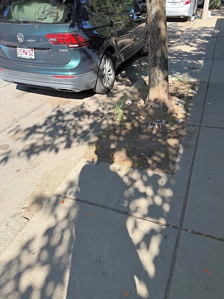 Image submitted with report