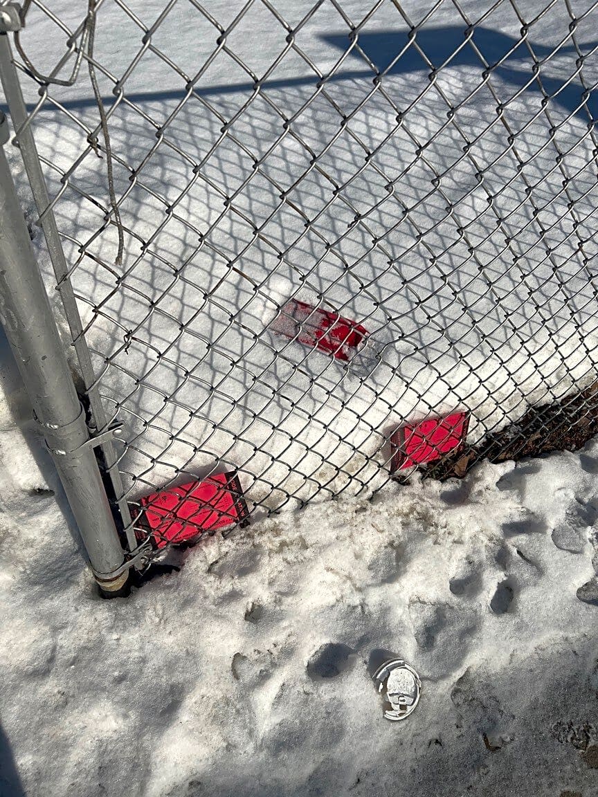 Image submitted with report