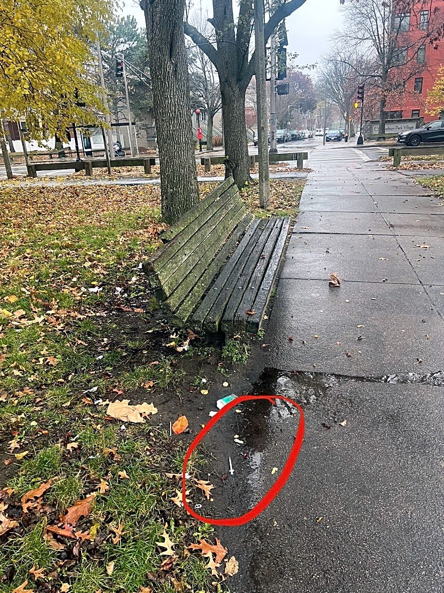 Image submitted with report