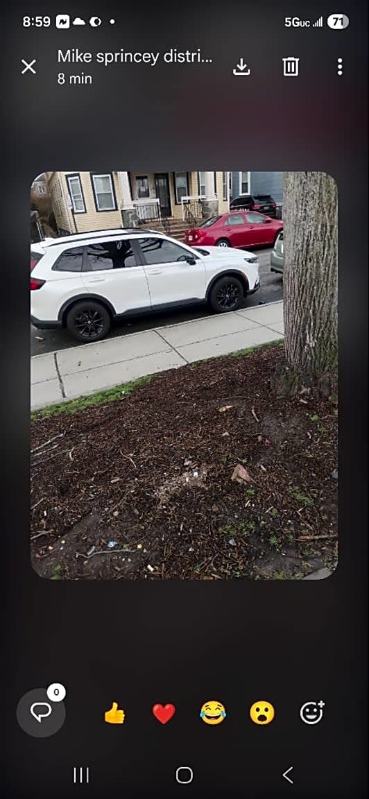 Image submitted with report